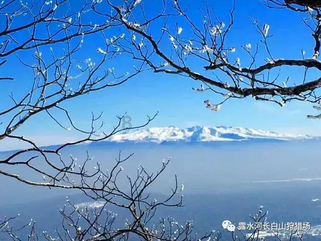 幽幽梦游记