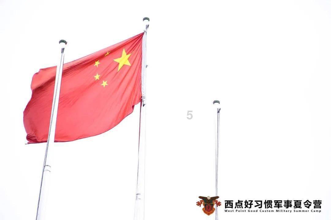 救援可爱小猪仔